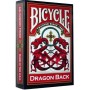 Bicycle Dragon Back