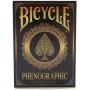 Bicycle Phenographic