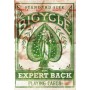 Bicycle Distressed Expert Back